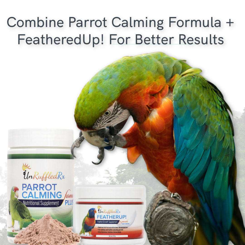 Parrot Calming Formula Dietary Supplement 4 oz N707165