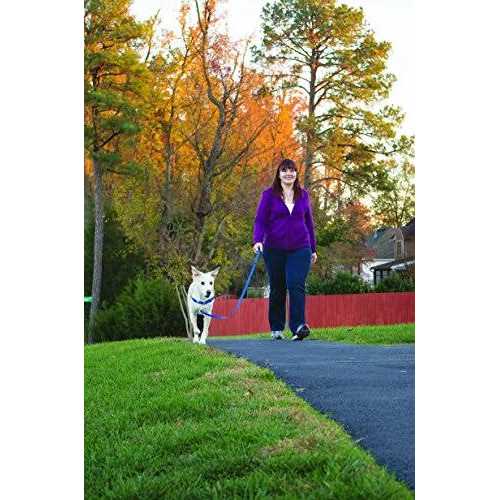 Dog Harness X132850