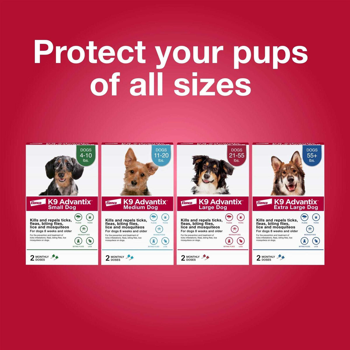 Flea Tick & Mosquito Prevention for Large Dogs I149994