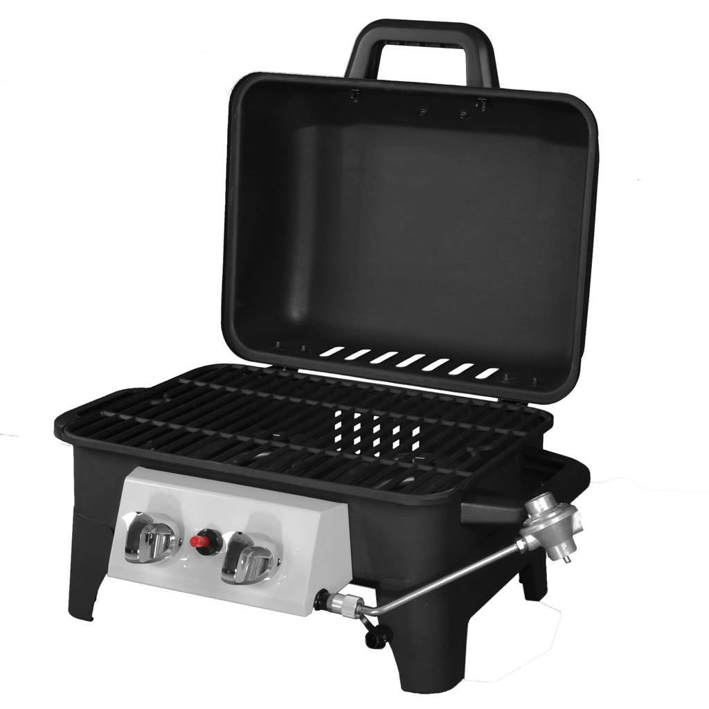 2 Burner Portable Propane Gas Grill B89125