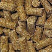 Macaw Daily Diet Pellets D1734