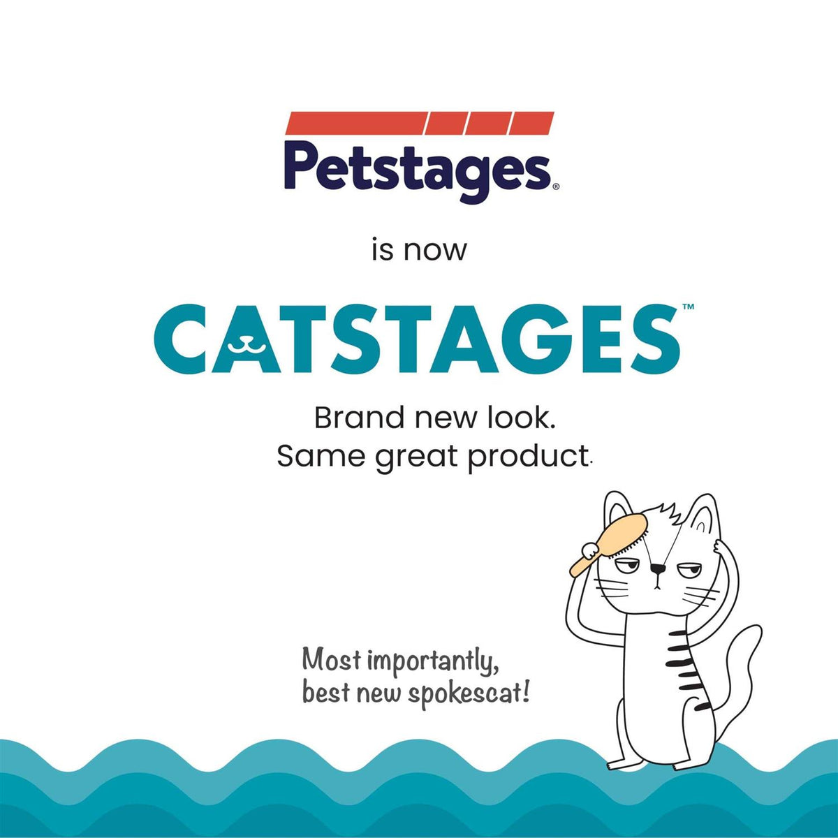 Cat Toy M214895