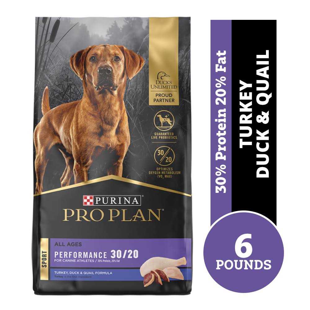 Dry Dog Food K916