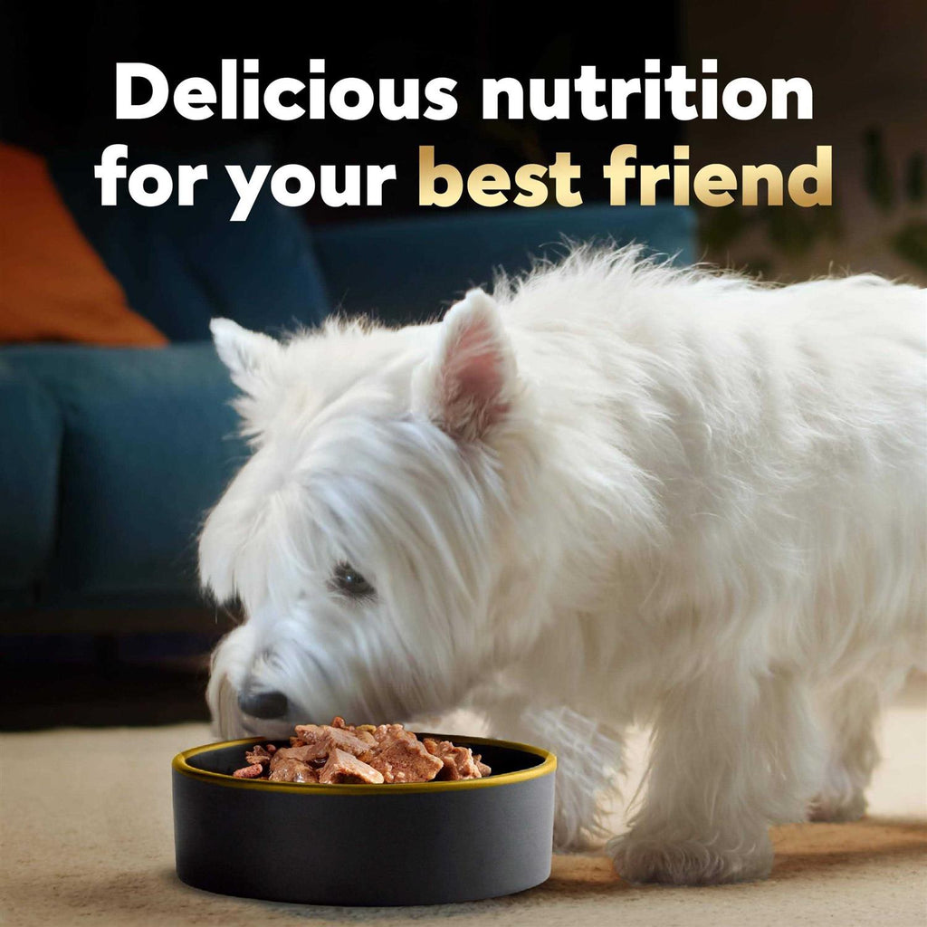 Wet Dog Food Variety Pack G76283