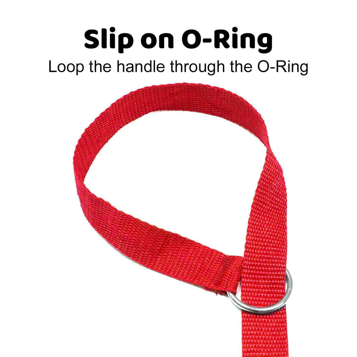 Dog Slip Lead Dog Leash K541058