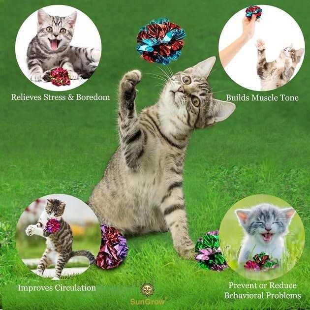 Cat & Kitten Toys P88431