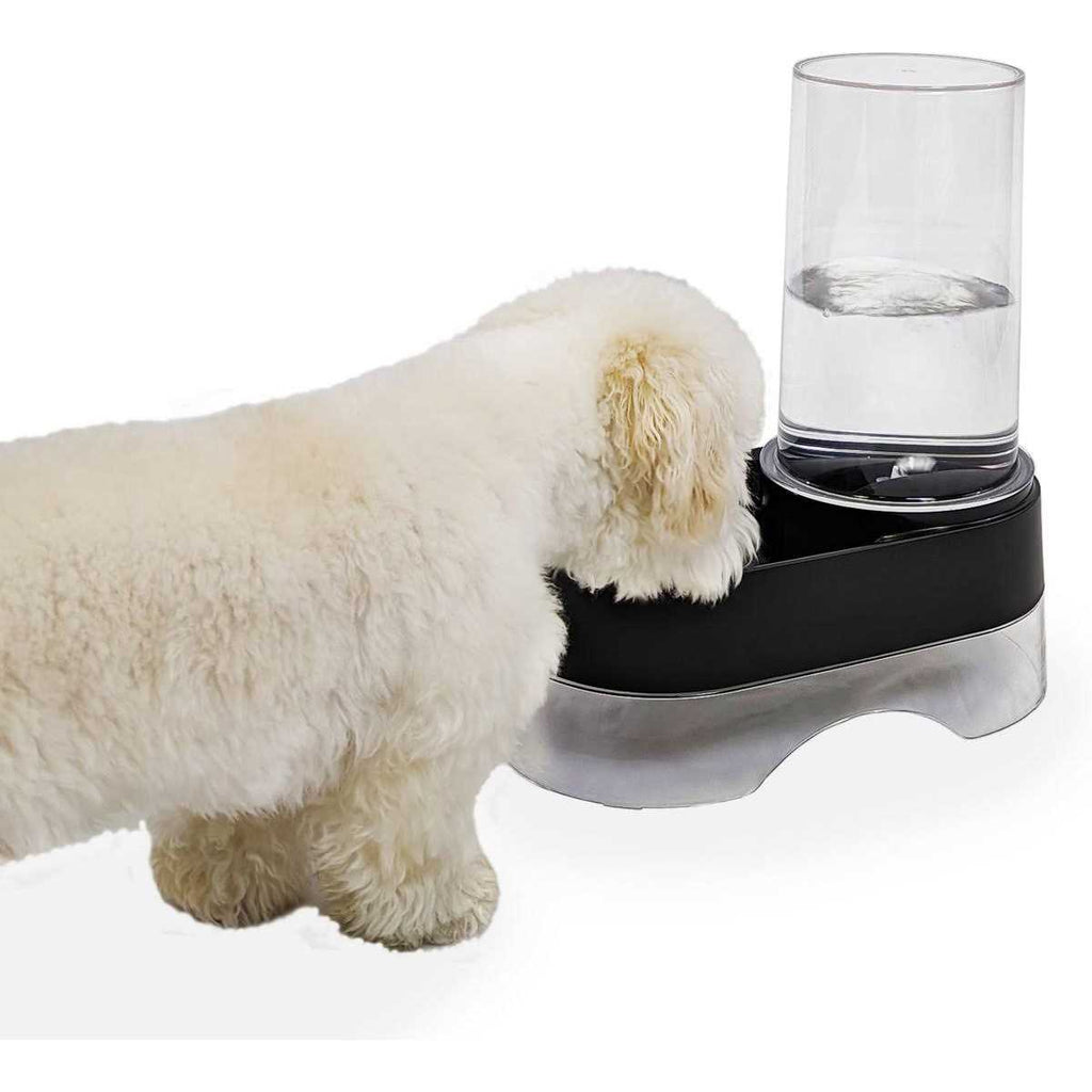 Elevated Gravity Pet Water Dispenser I466083