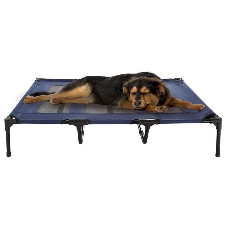 Elevated Pet Bed Y2614