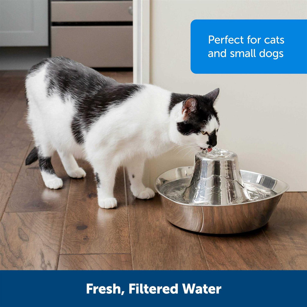 Stainless Pet Fountain S63617