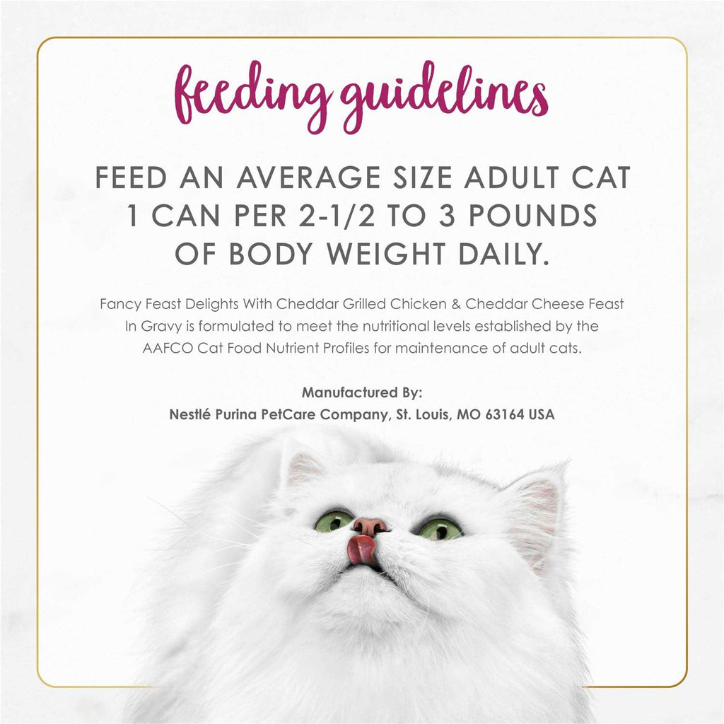 Cheddar Cheese Wet Cat Food S807253
