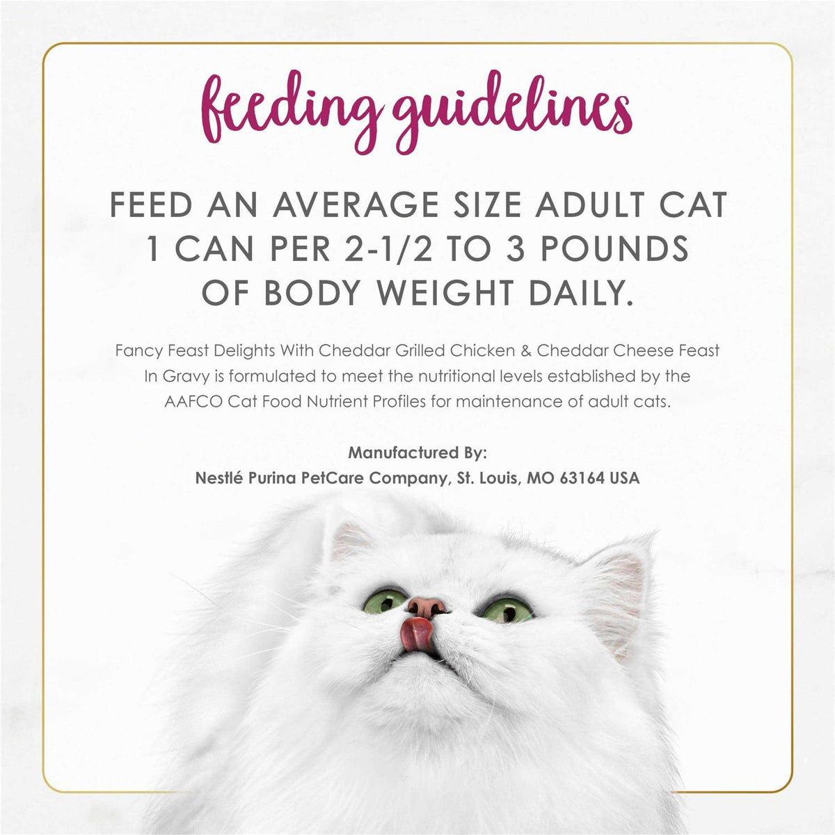 Cheddar Cheese Wet Cat Food S807253