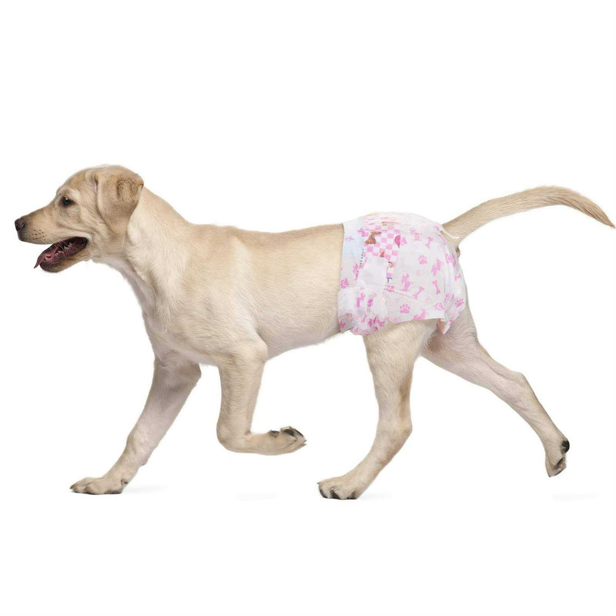 Disposable Female Dog Diapers Super Absorbent D25379