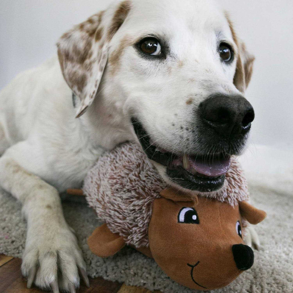 Comfort Dog Toy J51171