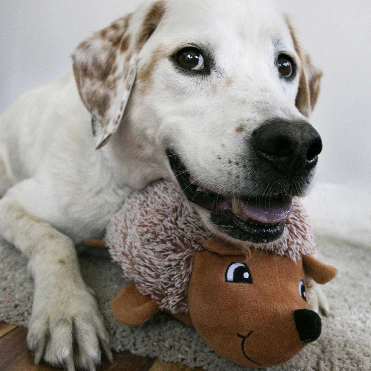 Comfort Dog Toy J51171