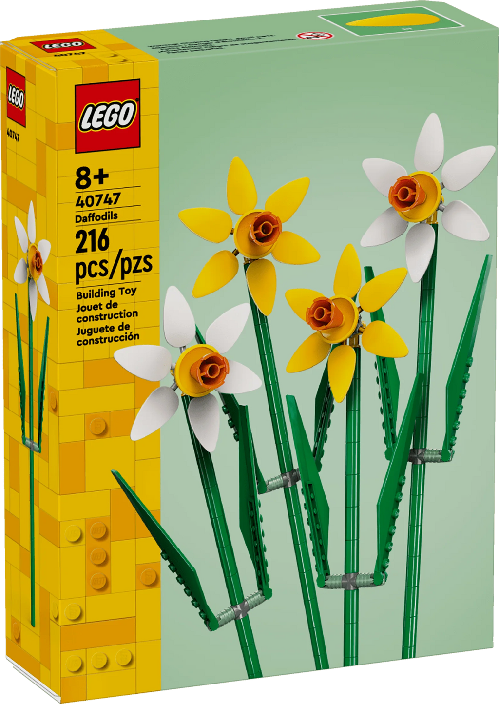 Yellow and White Daffodils C446955