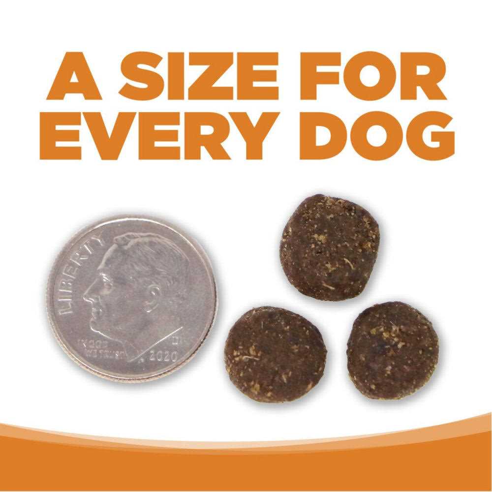 Lamb Rice Dry Dog Food V8031