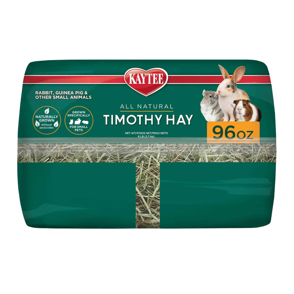 Timothy Hay G876238