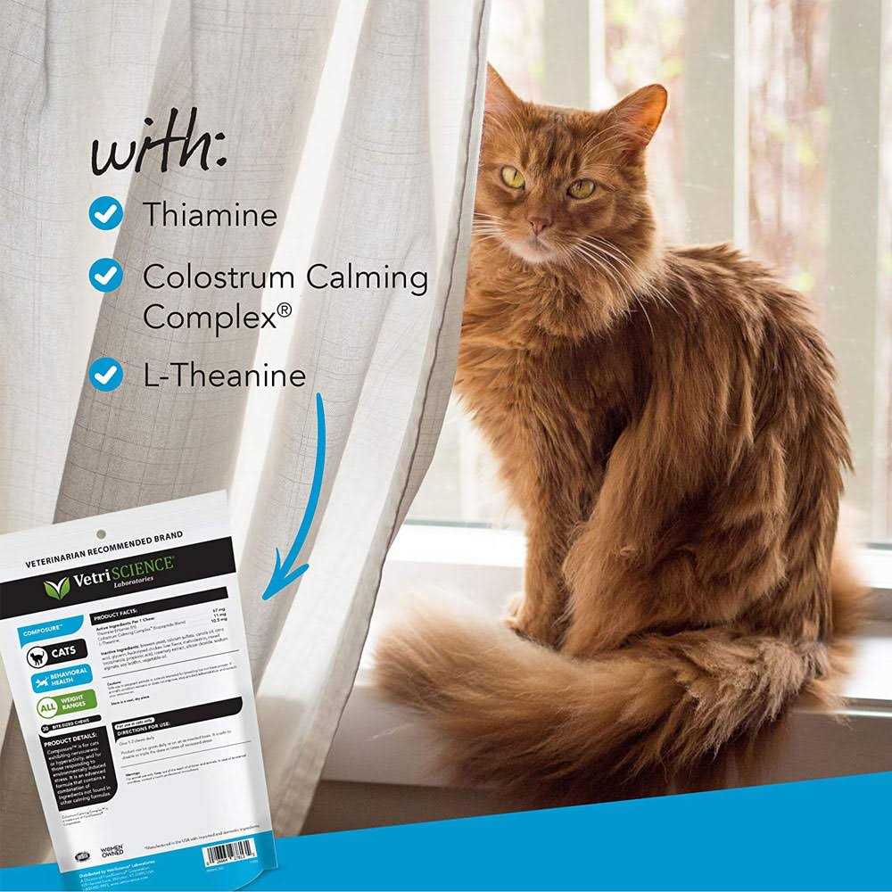 Composure for Cats K8962
