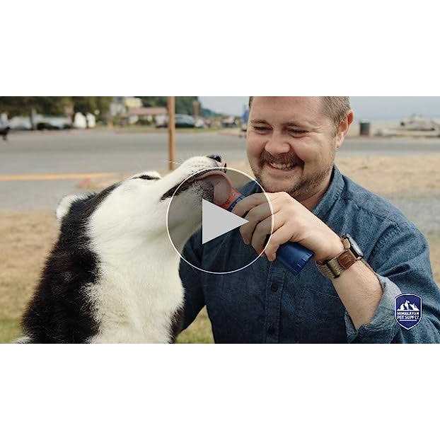 Dog Chew Q68769