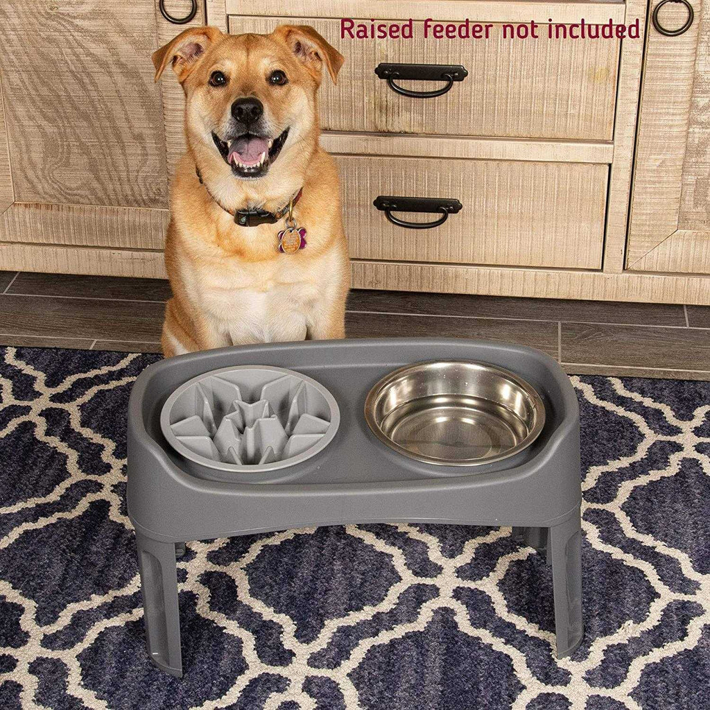 Slow Feeder Dog Bowl with Feeder Holes X697