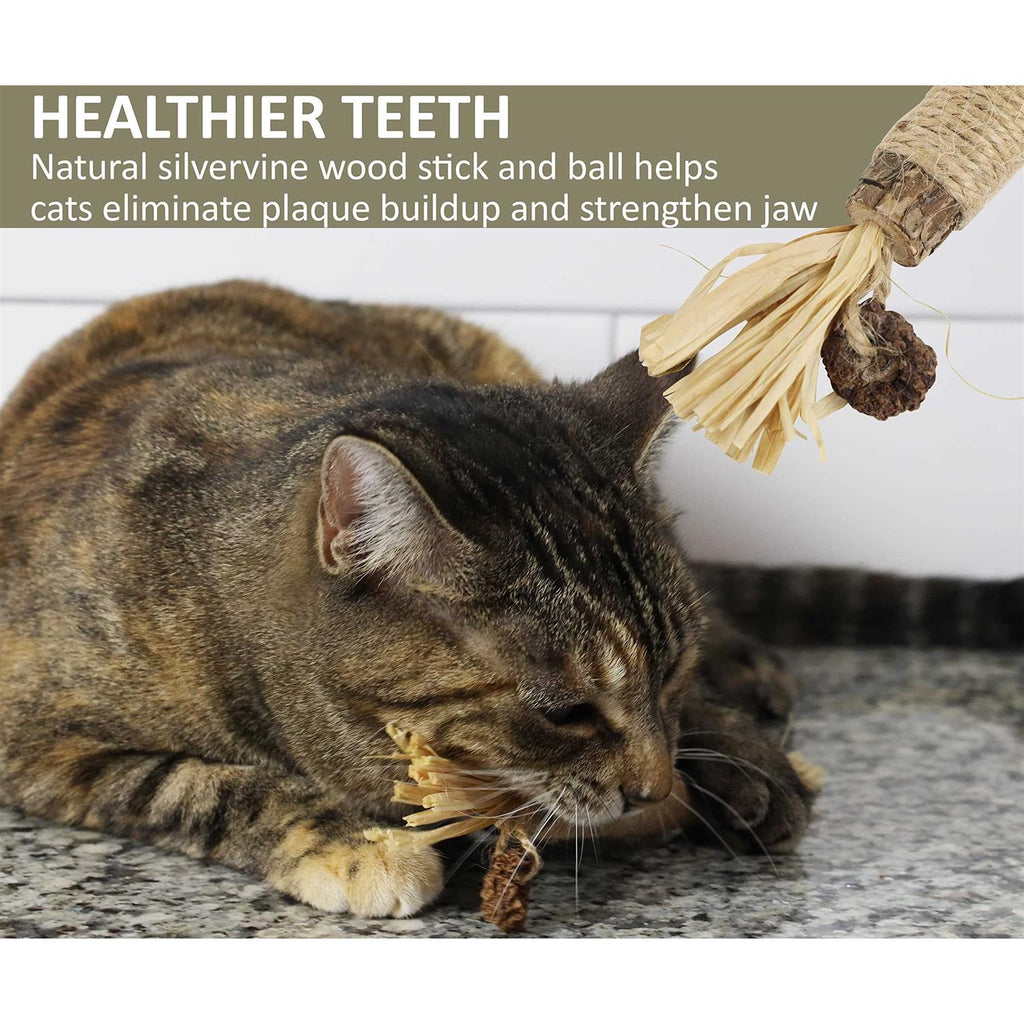 Catnip Silvervine Chew Toy D73461