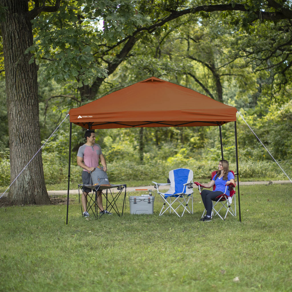 10 ft x 10 ft White Instant Canopy F660380