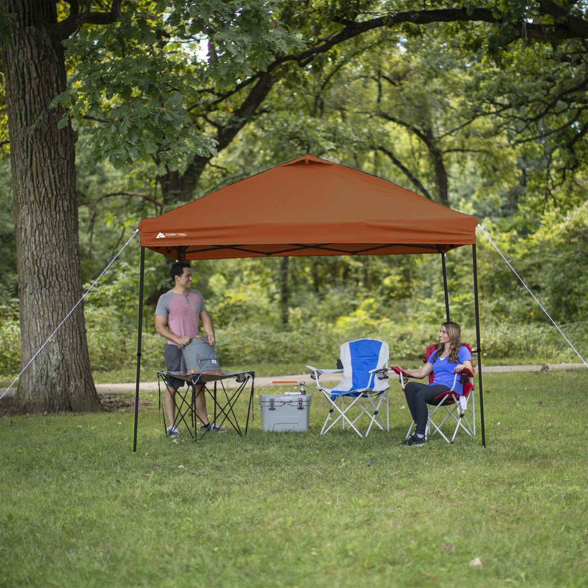 10 ft x 10 ft White Instant Canopy F660380