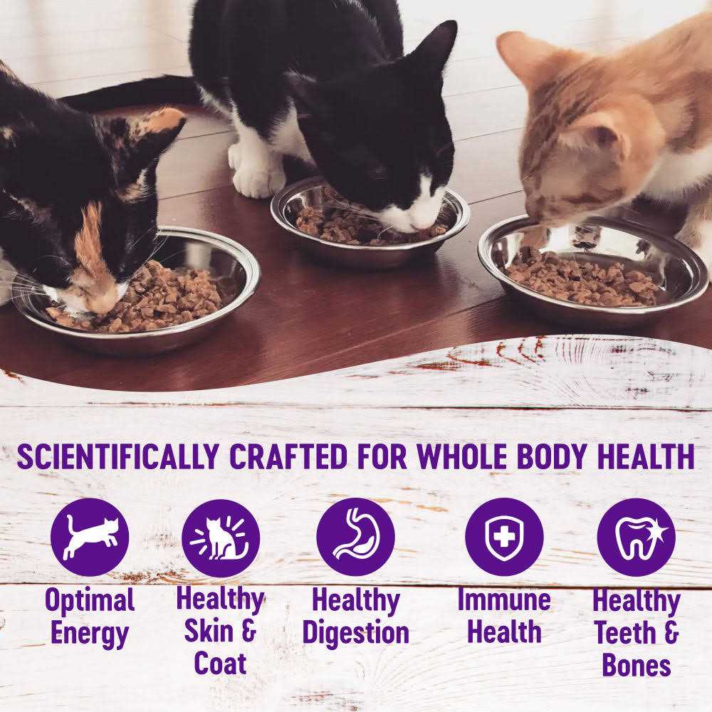 Grain Free Wet Cat Food N39869