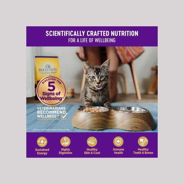 Grain Free Wet Cat Food N39869