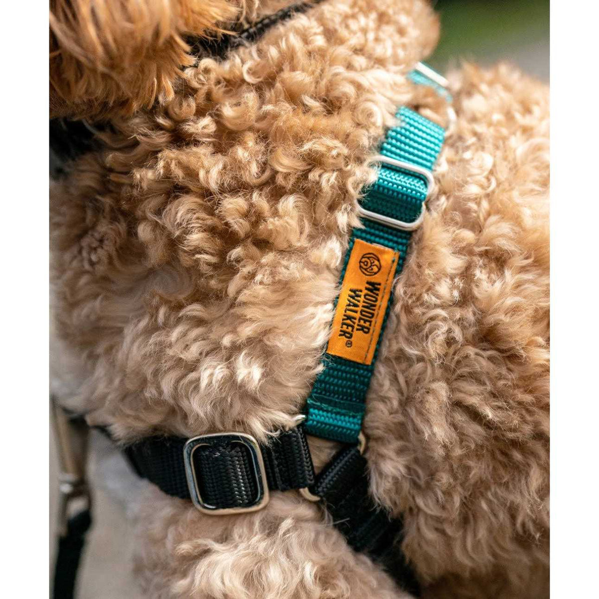 Dog Harness U40651