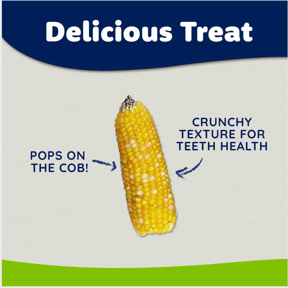 Mini Pop Small Animal Treat P891