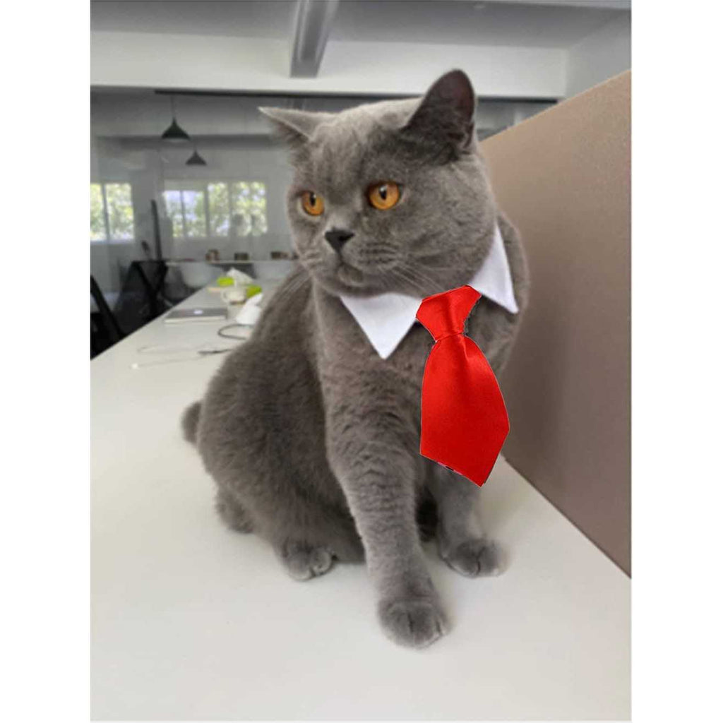 Adjustable Dog Cat Bowtie Collar O312924