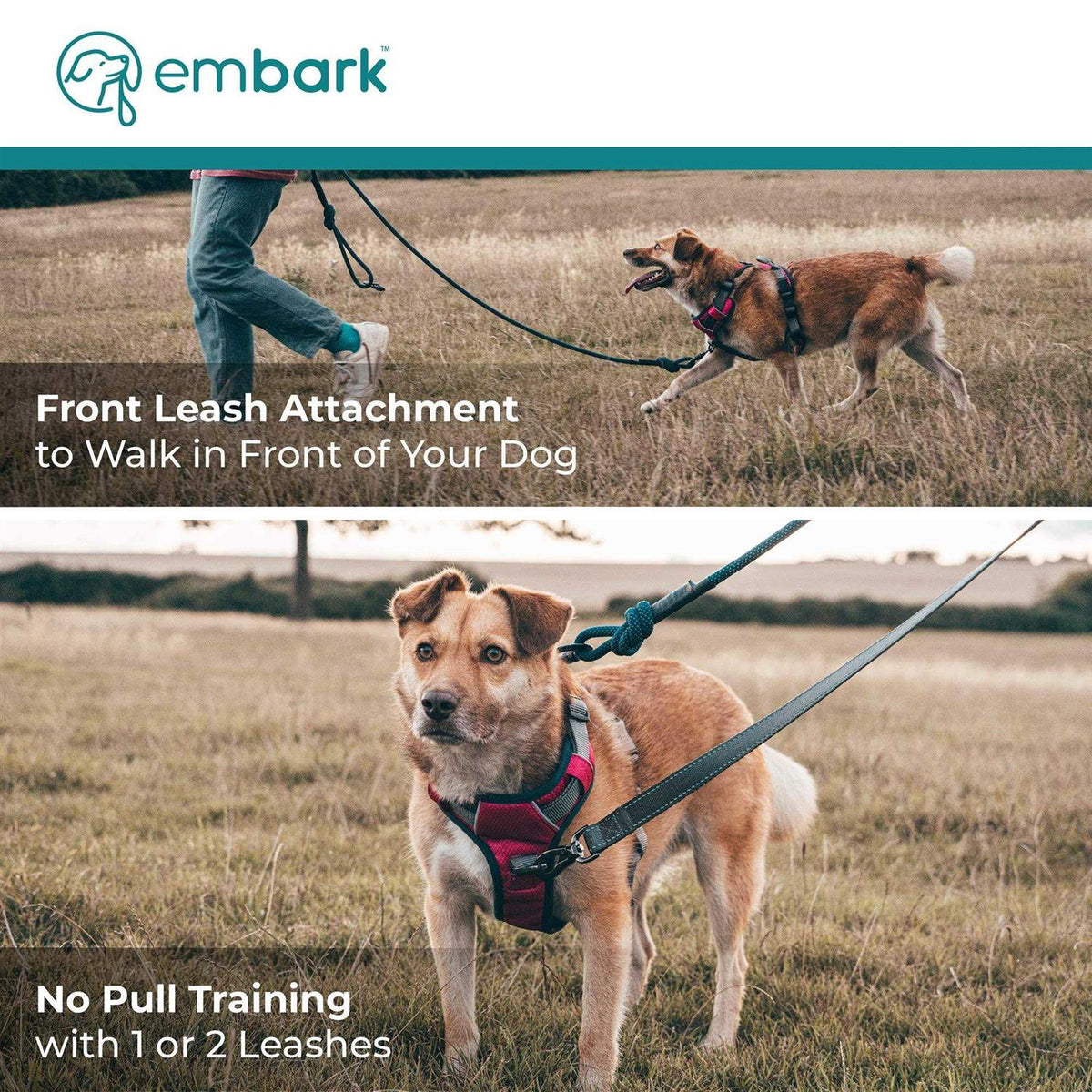 Dog Harness Leash O4856