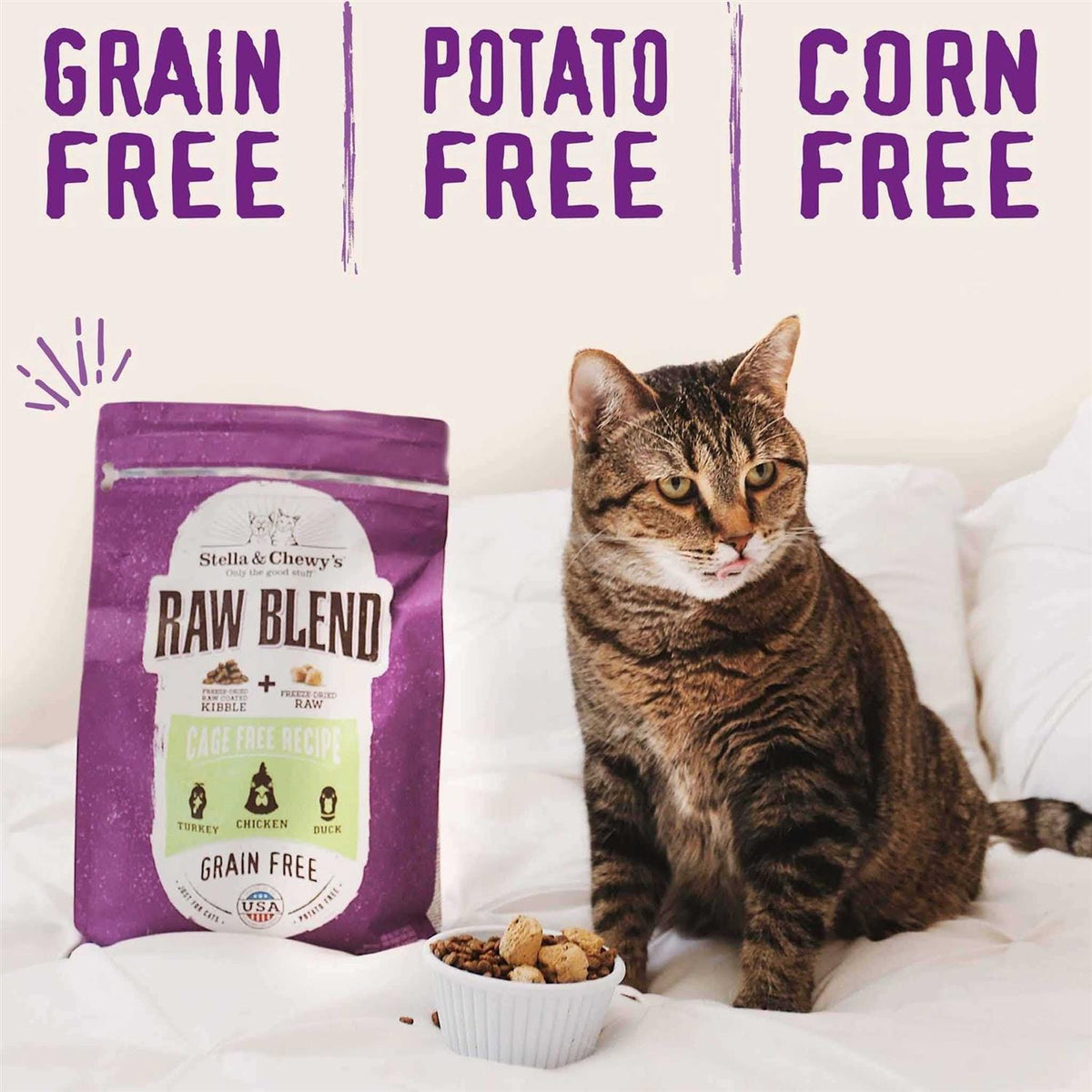 Dry Cat Food E284872