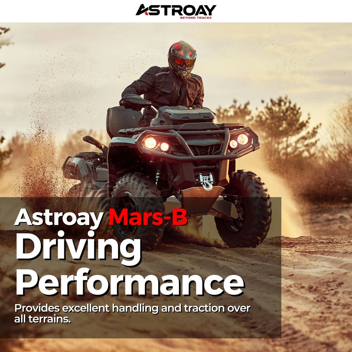 12 Utility ATV/UTV Tire N202