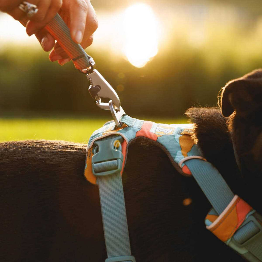 Harness A343381