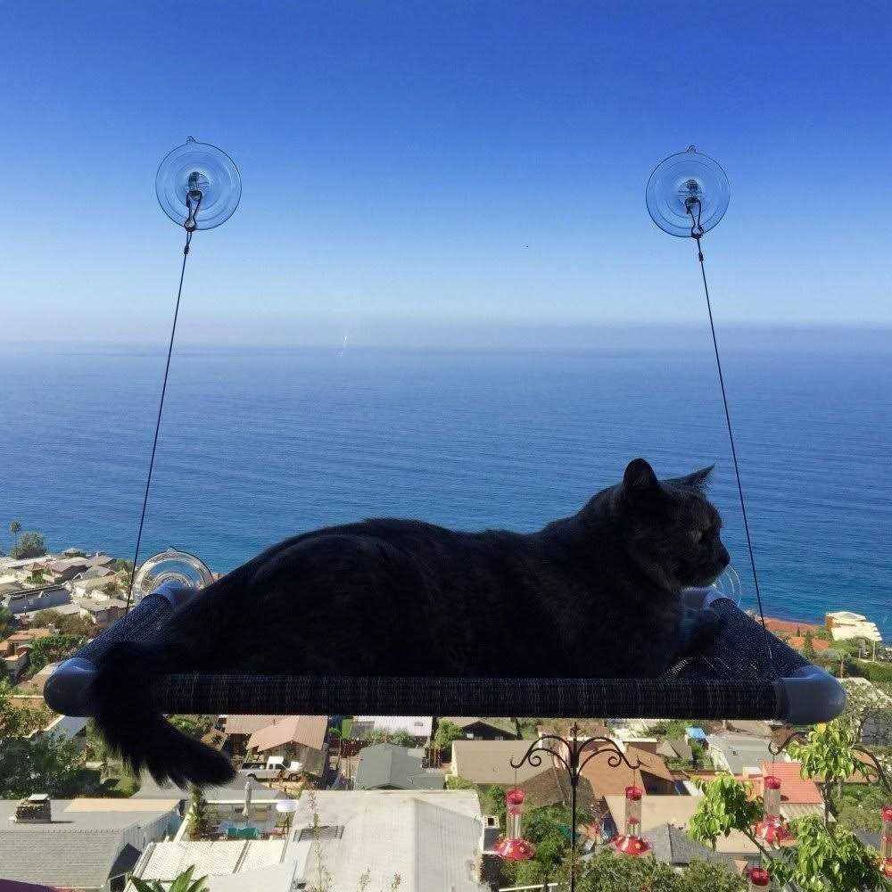 Cat Perch U80631
