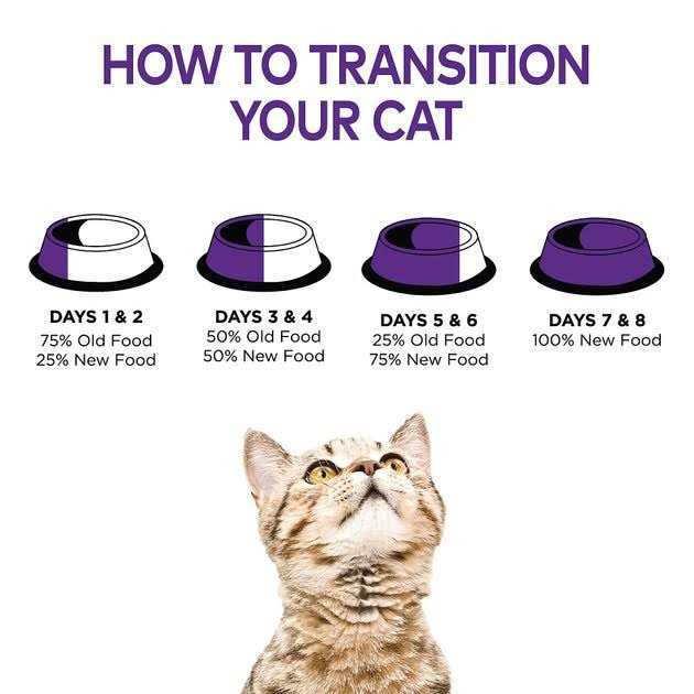 Grain Free Wet Cat Food N39869