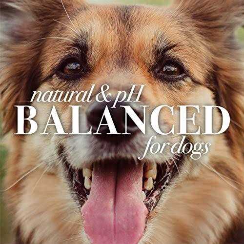 Dog Shampoo S21715