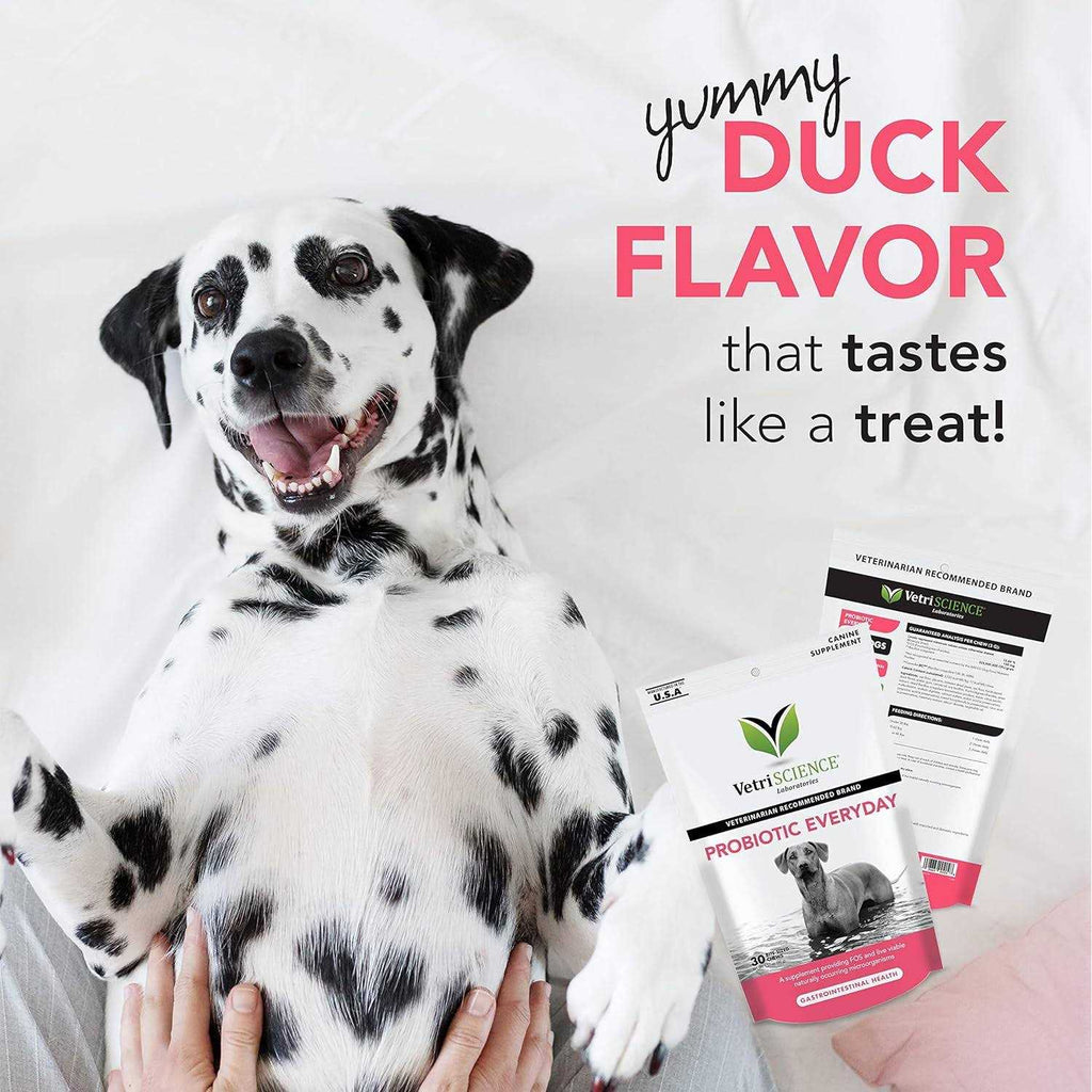 Probiotic Chews for Dogs B1701