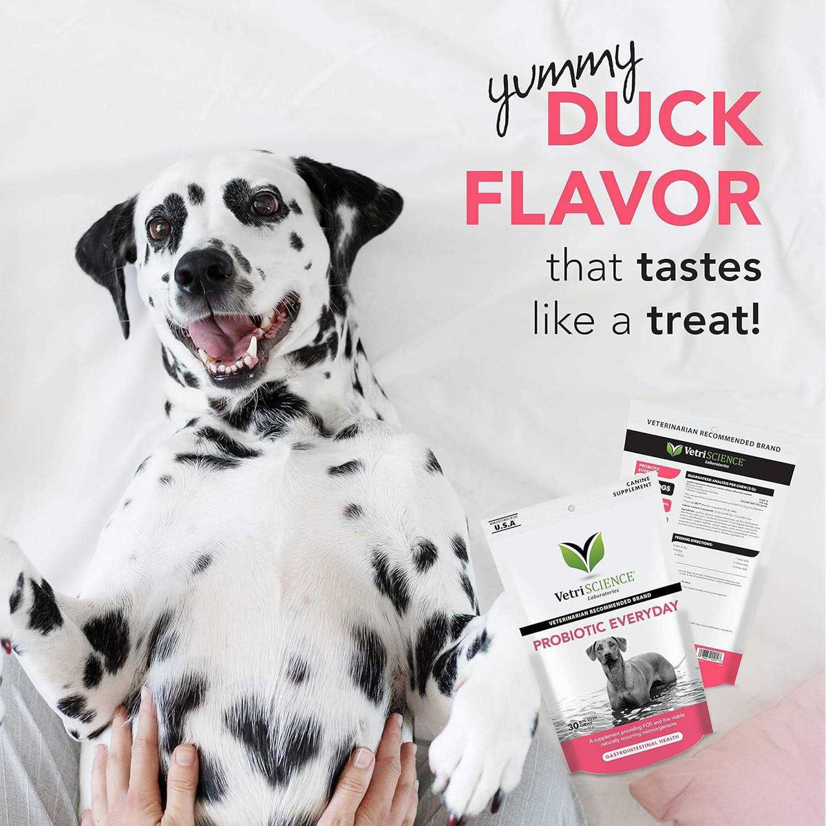 Probiotic Chews for Dogs B1701