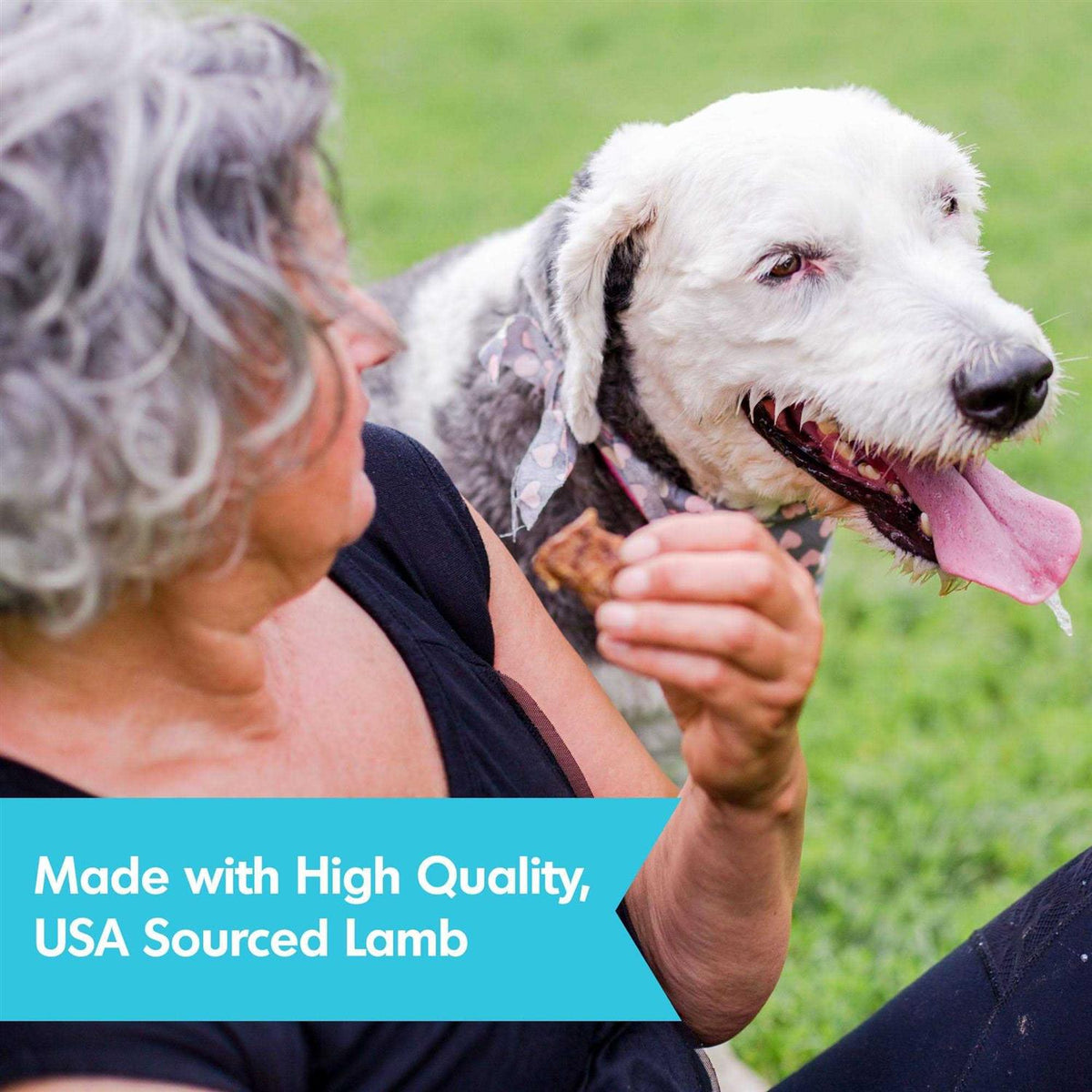 Salmon Skin & Coat Jerky W9667