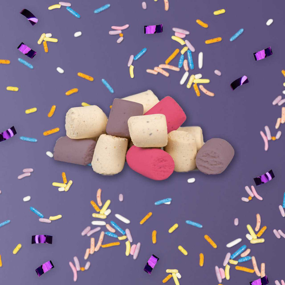 Confetti Bites Dog Treats T1030