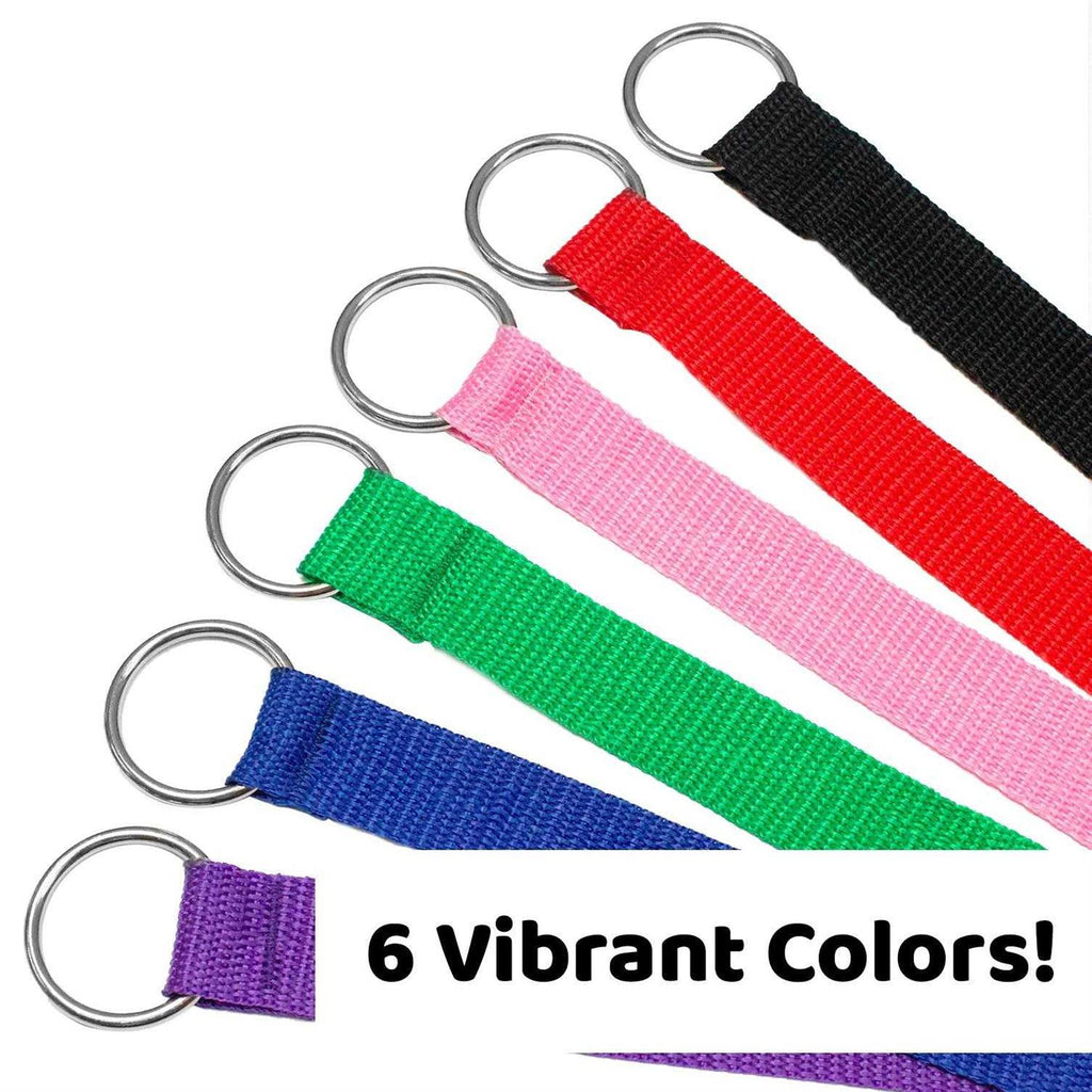 Dog Slip Lead Dog Leash K541058