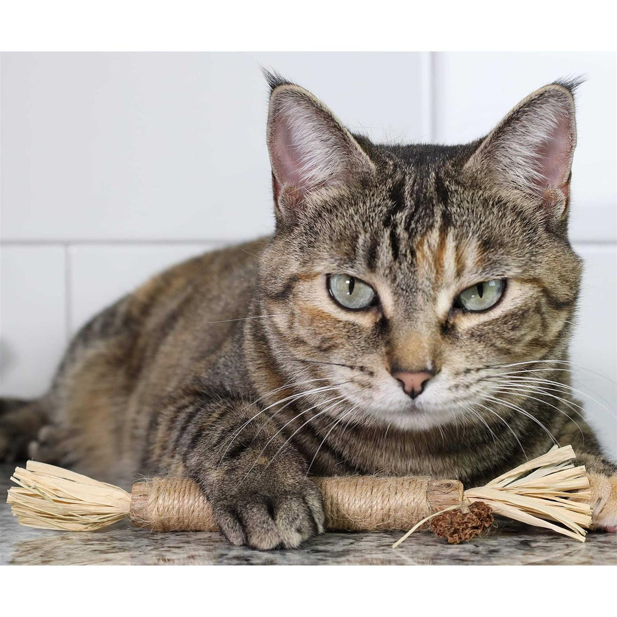 Catnip Silvervine Chew Toy D73461