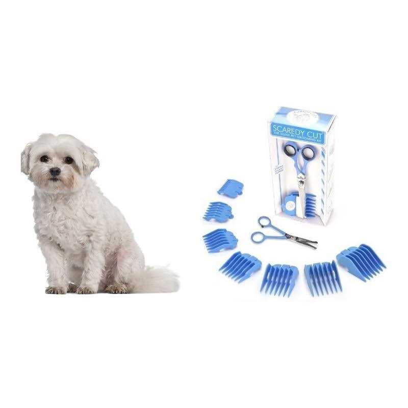 Silent Pet Grooming Kit B491599
