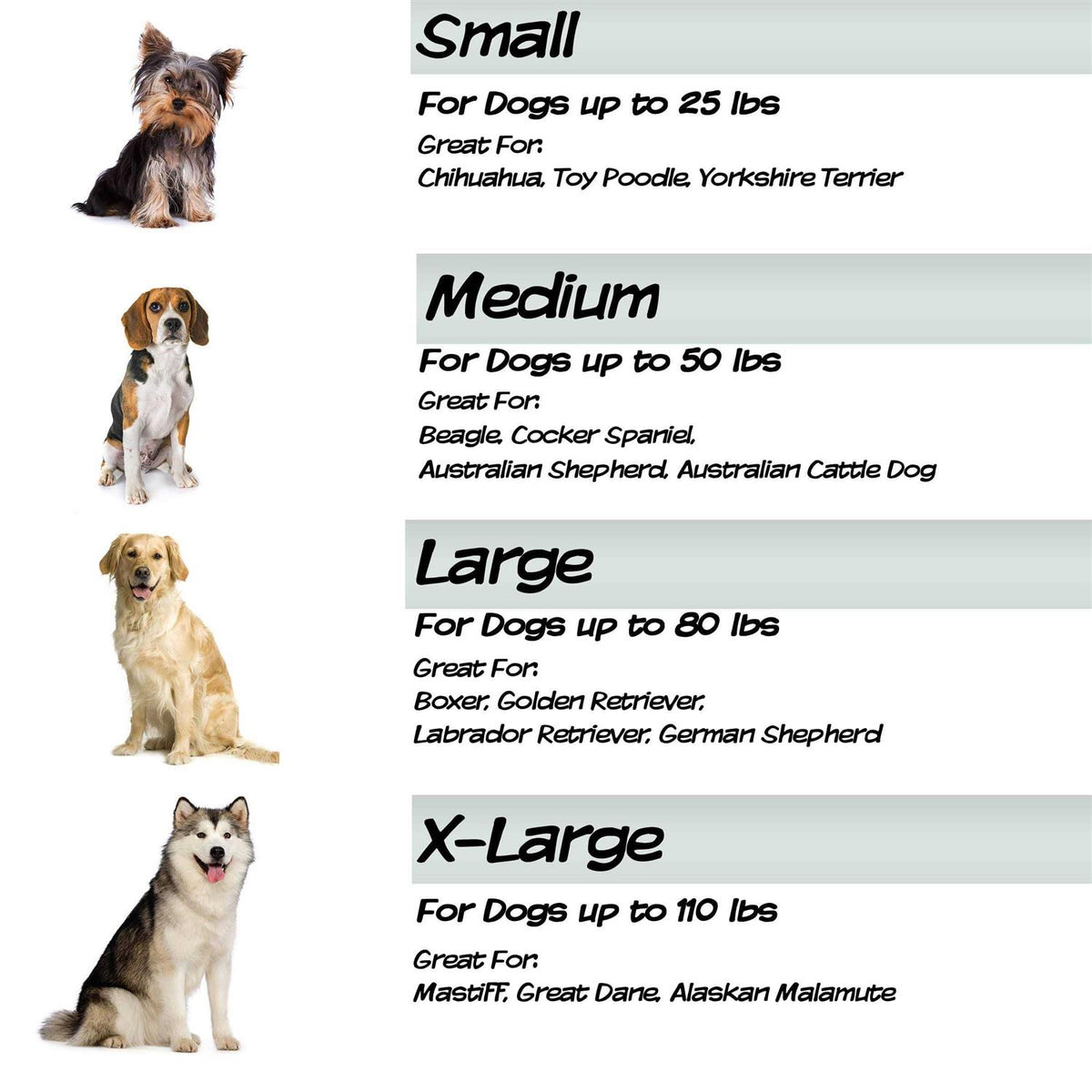 Elevated Pet Bed Y2614