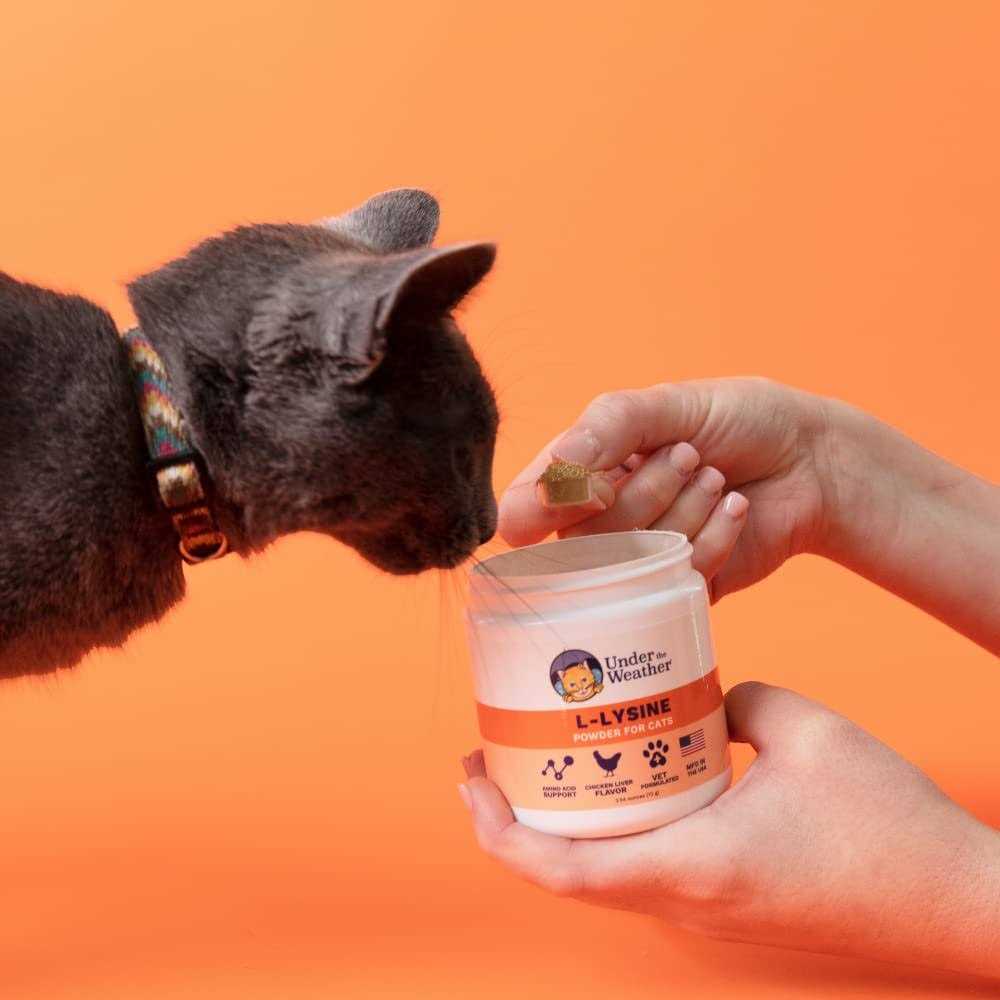 L-lysine Powder Cat Supplement F532