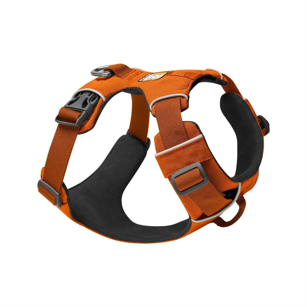 Harness A343381