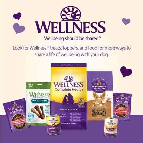 Dog Treats Y2883